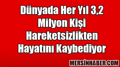 Mersin'de Hareketsizlik Sorunu