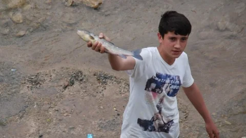 Tokat'ta Balık Ölümleri Yaşandı