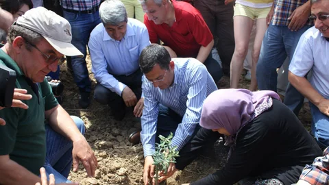 Yırca'da Zafer Ağaçları Dikti