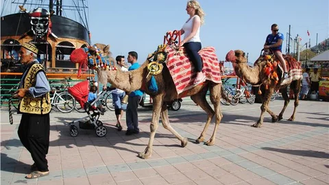 Antalya'da Deve Turları İlgi Görüyor