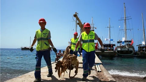 Bodrum'da Deniz Dibi Temizliği