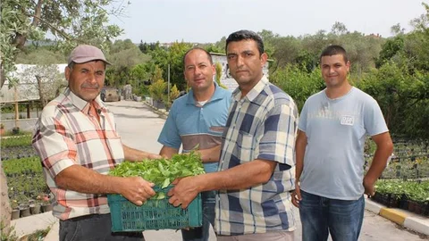 Urla'da Sebze Fidanı Dağıtımı