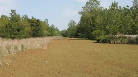 Miliç Irmağı Tehlike Altında!