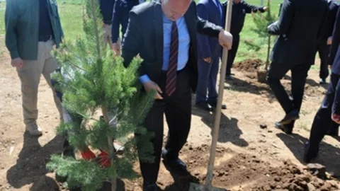 Bitlis'te Hatıra Ormanı Kuruldu