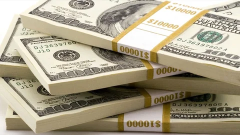 Dolar 2,63'ün Üzerinde Seyrediyor