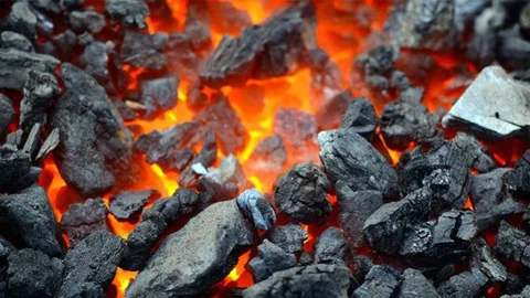 Katı Yakıt İstatistikleri Açıklandı