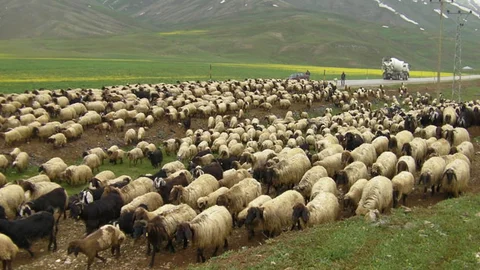Göçerlerin Zorlu Yolculuğu Van'da Devam Ediyor