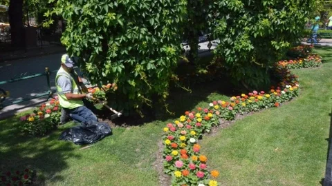 Eskişehir Adalar Mevkii Renkleniyor