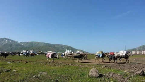 Göçerlerin Zorlu Yolculuğu Devam Ediyor