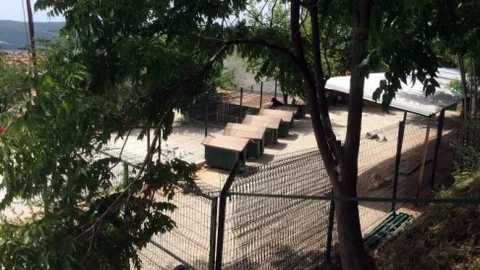 Muğla'daki Hayvan Bakımevi Yenilendi