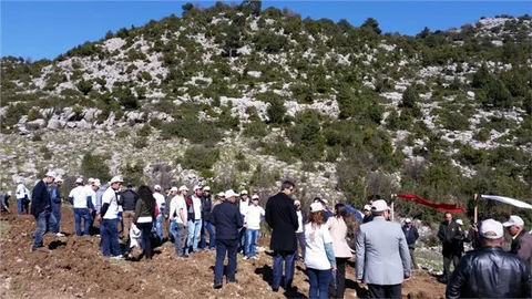 Aladağ'da Fidan Dikimi Etkinliği