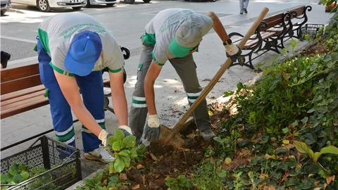 Menteşe Çiçeklerle Renklendi