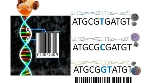 ÇOMÜ'de Bal DNA Sistemi Geliştirildi