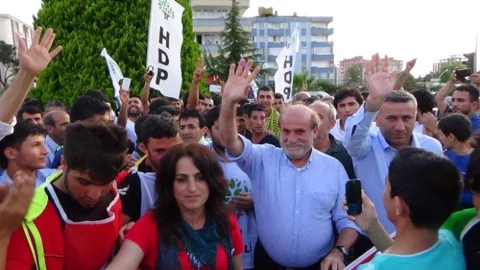 HDP Milletvekili Kedilere Dikkat Çekti