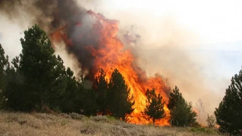 Bartın'da Yangınların Önüne Geçiliyor