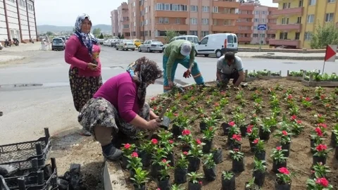 Burhaniye'de Kadınlar Çiçek Dikiyor