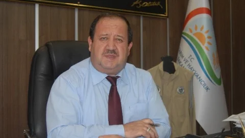 Samsun'da Kuş Gribi Vakası Yok