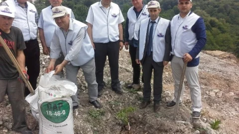 Fatsa'da Ceviz Fidanı Dikimi Yapıldı