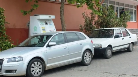 Tekirdağ'da Sokak Hayvanları Zor Durumda