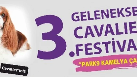 Cavalier Festivali Ataşehir'de Yapılacak