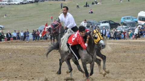 Darıca'da Cirit Şöleni Etkinliği