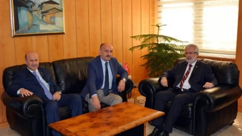 Psikiyatri Hastaları Üzerine Açıklama