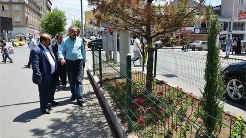 Ağrı'da Ağaçlandırma Projesi Devam Ediyor