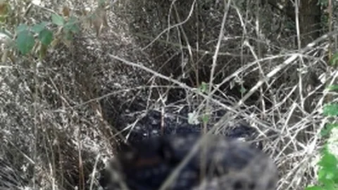 Adana'da Arkadaş Katliamı