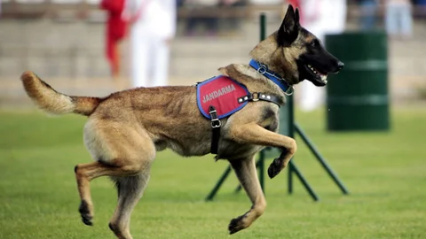 JAKEM'den İHA'ya Özel İzinle Kapı Açıldı