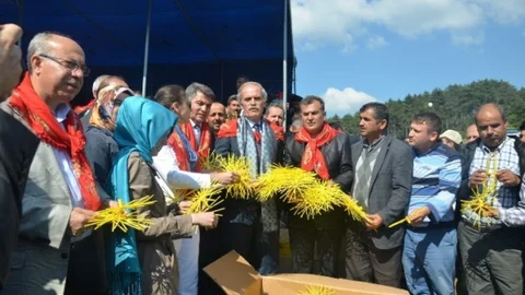 Bursa'da İpek Böcekçiliği Destekleniyor