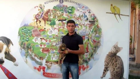 Kütahya'da Sokak Hayvanlarına Sahiplenme İmkanı