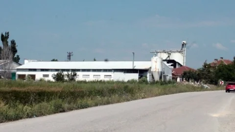 Bursa'da Kuş Gribi Alarmı