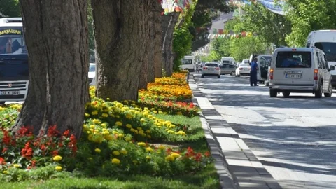 Tatvan'da Çiçek Dikimi Devam Ediyor