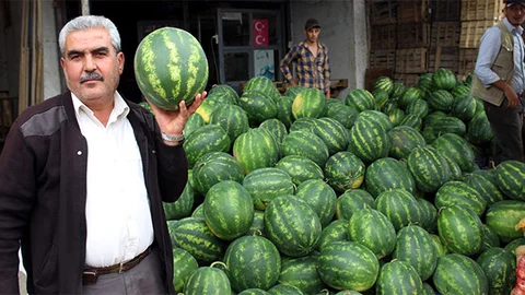 Adana'da Karpuz Fiyatları Düşüyor