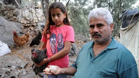 Mersin'de Çilli İsimli Tavuk