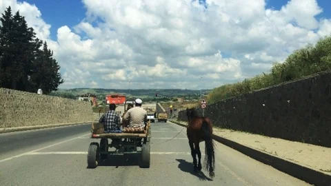 Tekirdağ'da At Arabasıyla Seyir Halinde
