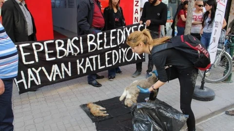 Eskişehir'de Hayvan Mezarlığı Protestosu