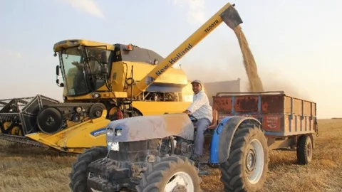 Gaziantep'te Arpa Hasadı Başarıyla Devam Ediyor