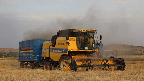 Gaziantep'te Rekor Arpa Hasadı Bekleniyor