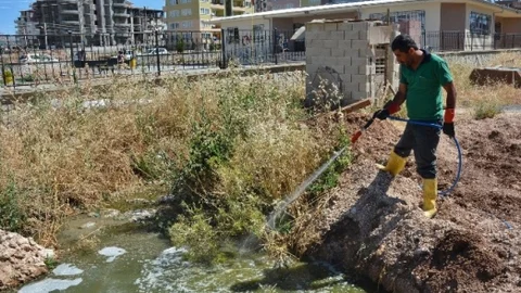 Adıyaman'da Haşere Mücadelesi Sürüyor