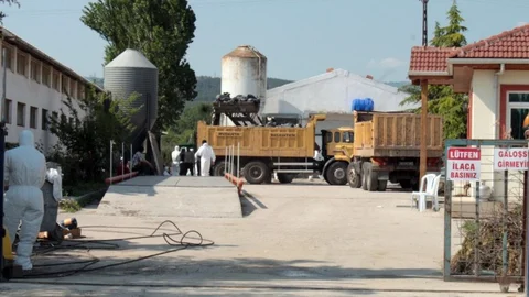 Bursa'da Kuş Gribi Vakasına Müdahale