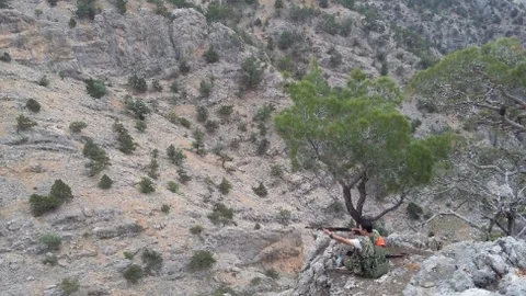 Karaman'da Yaban Domuzu Avları Sürüyor