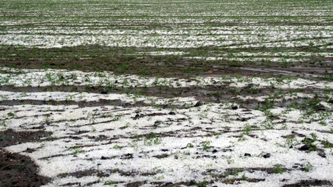 Yozgat'ta Dolu Yağışı Etkili Oldu