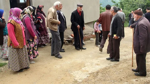 Giresun'da şarbon paniği yaşanıyor