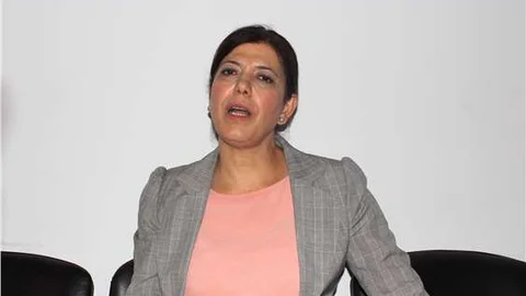 HDP'li Meral Danış Beştaş Twitter'daki iddiaların doğru olmadığını umduğunu belirtti