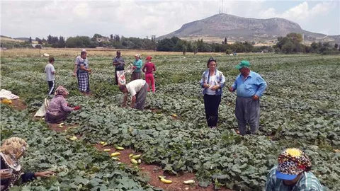 Adana'da tarım sektörüne dair önemli açıklamalarda bulunan CHP'li Müzeyyen Şevkin, ürünlerin gerçek fiyatına satılamadığını belirtti.