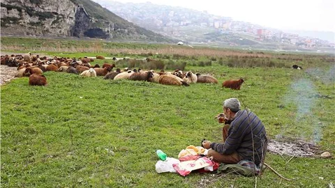 Ankara'da Çobanlık Mesleğine Değer Verilmeli