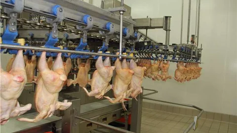 Bursa'da mangal sezonu açıldı, et fiyatları artış gösterdi