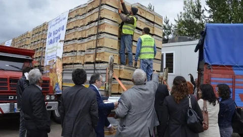 Ankara'da Arıcılık Faaliyetleri