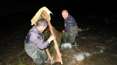 Van'da inci kefali balığı için polisler gece gündüz nöbet tutuyor